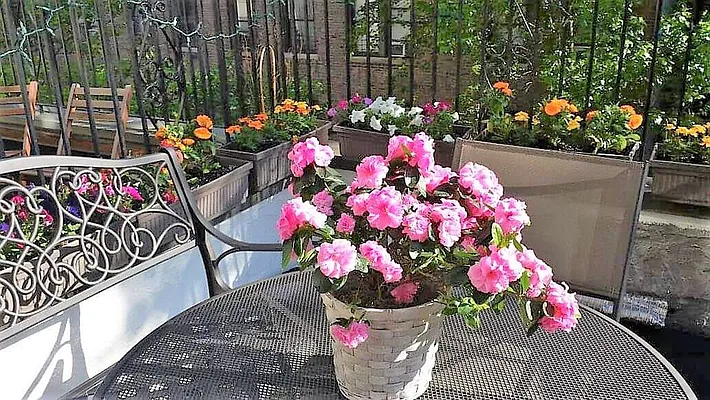 Rented by JK Dansar Corp | media 19