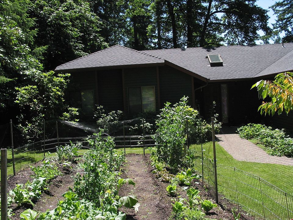 Front garden, walk and door