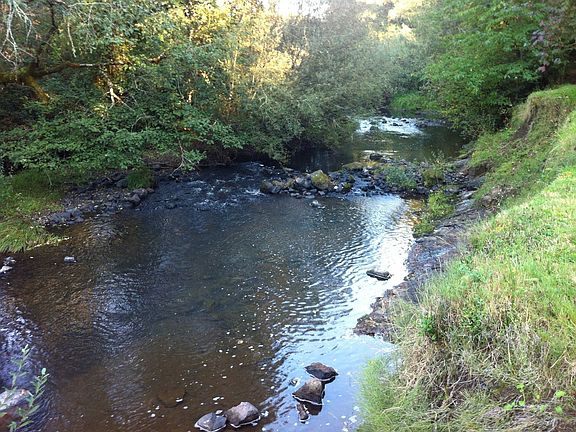 Year round creek, camping
