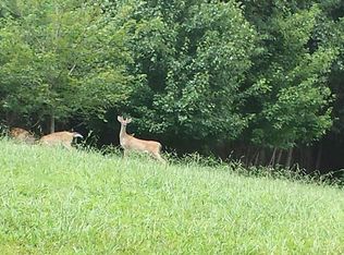 637 Pine Hollow Rd, Jacksboro, TN 37757