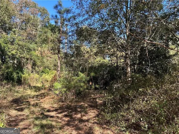 2581 Old Riggs Mill Rd, Statesboro, GA 30458