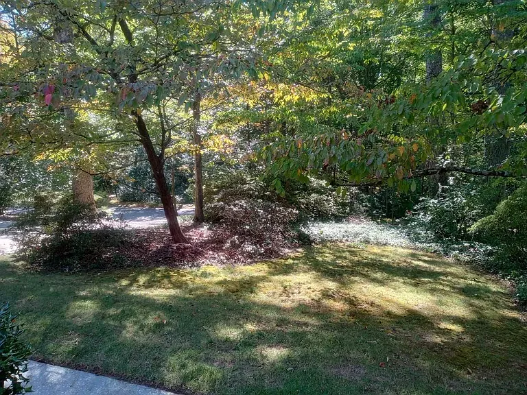 1224 Poplar Grove Dr — Photo 40