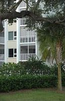 Bay's Bluff