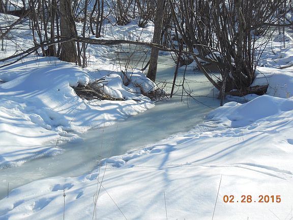 Permanent creek