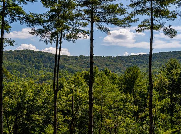 2nd image of 58 Papa Bear Path