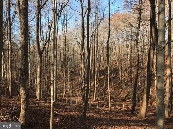 8228 Shadowridge Dr, Fairfax Station, VA 22039