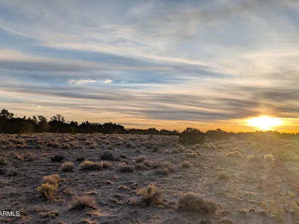 Lot 78 Witch Well Ranches -- #78, St Johns, AZ 85936