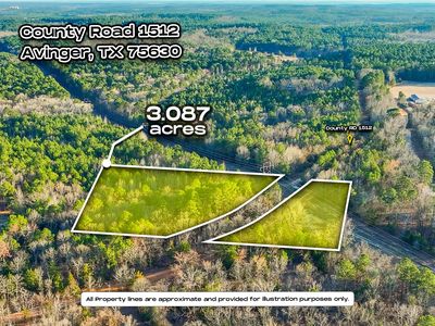 County Road 1512, Avinger, TX, 75630