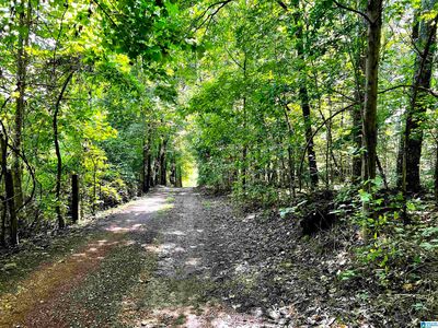 6446 Trussville Clay Rd #1, Trussville, AL, 35173