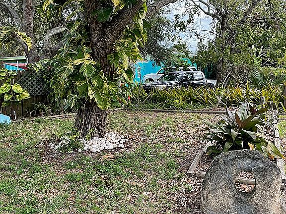 Front Yard