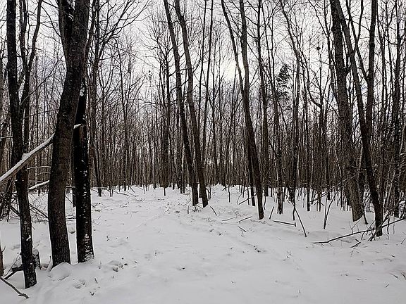 2nd image of 3 Log Lodge Rd