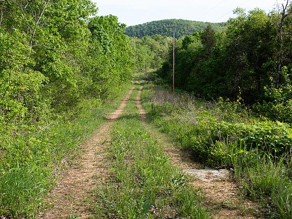 5th image of 000 Terrace Lane