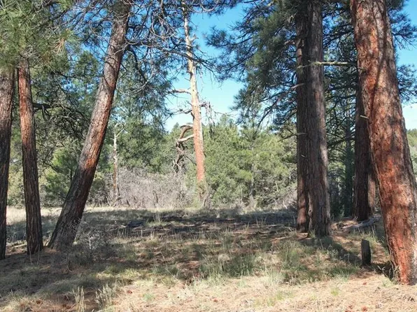 3169 Meadows Drive, Pagosa Springs, CO 81147