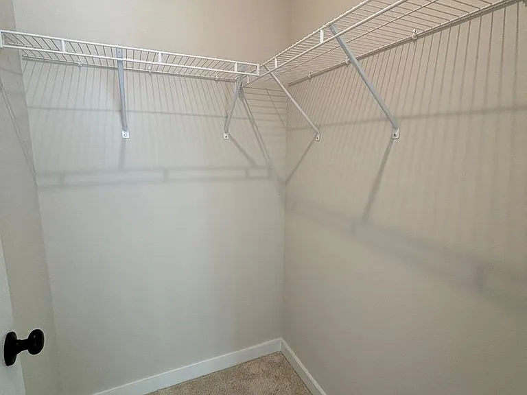 3101 Finchborough Ct — Photo 31