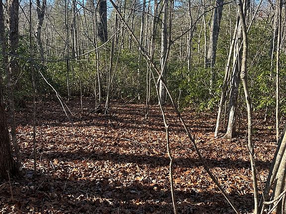 4th image of 250 Haven Ln