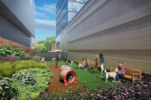 Rented by Red Apple Group | media 59