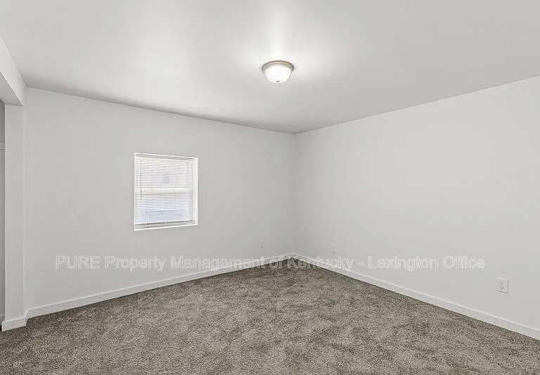 725 E College St #725 E COLLEGE STREET — Photo 6