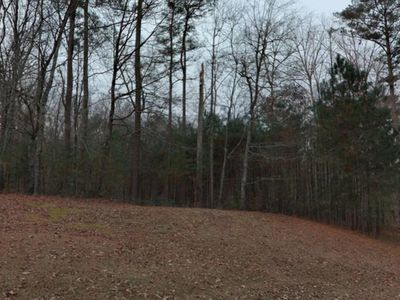 4798 Amsler Rd, Ellenwood, GA, 30294