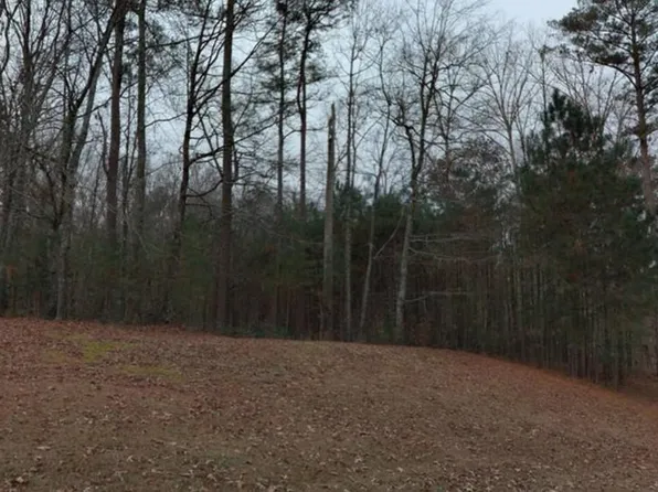 4798 Amsler Rd, Ellenwood, GA 30294