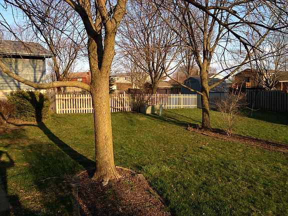 Back Yard View