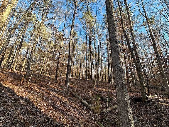 Photo Jan 26 2026 3 54 27 Pm