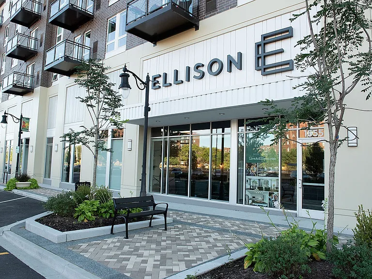 Ellison — Photo 37