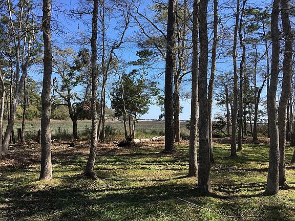 Lot view from Rd