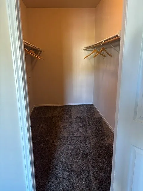 1 bed, 820 sqft, $1,557 — Photo 1