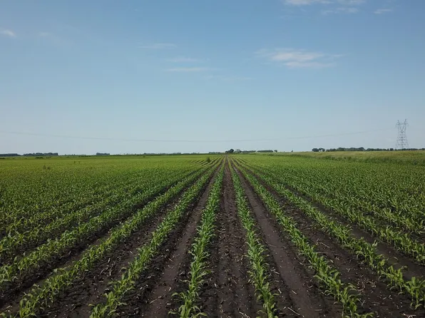 T #182, Herman, MN 56248