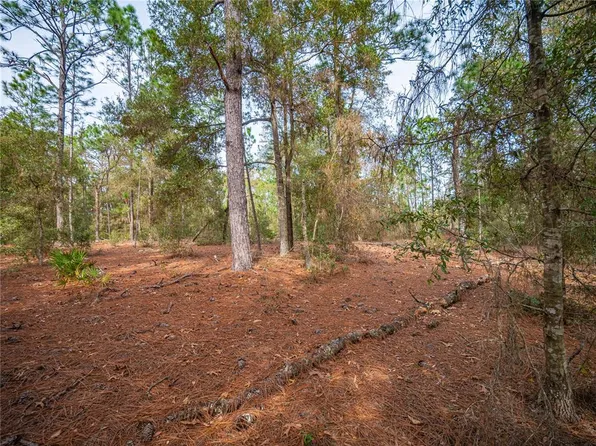 0 SW 154TH CT. LOT 21-23, OCALA, FL 34481