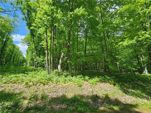 Lot 1 & 2 Linden Road, Hayward, WI 54843