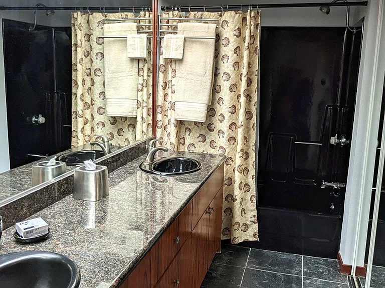 Double sink with shower