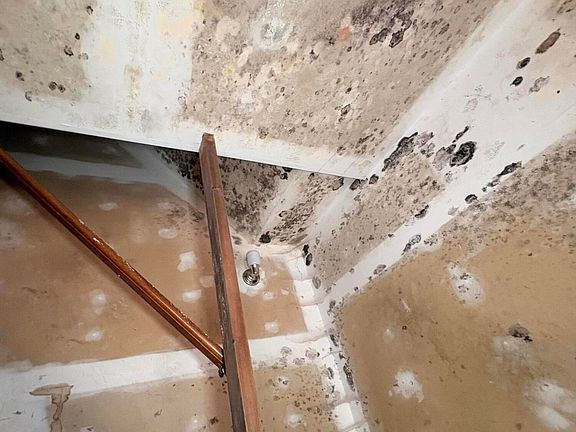 2nd image of 700 Walnut St