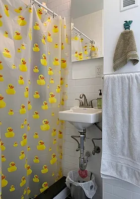 Rented by Dynamik Realty | media 11