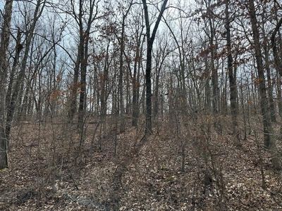 Tbd Private Road 9951, Koshkonong, MO, 65692
