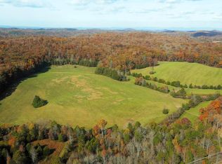 313 Hughes Hollow Rd, Philadelphia, TN 37846