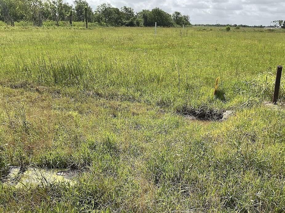 2nd image of 479 Brahman Trl