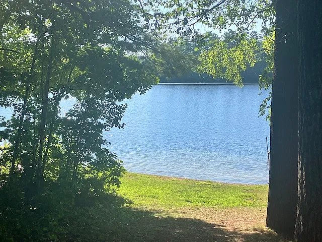 3 bed, 1558 sqft, $1,875 — Photo 3
