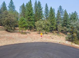 2930 White Alder Ct, Meadow Vista, CA 95722