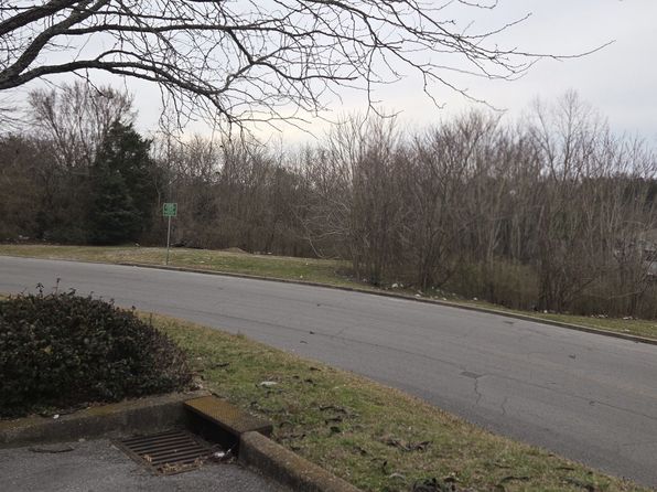 nashville-tennessee-41182781 picture