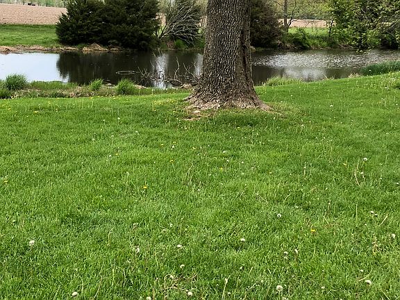 Pond