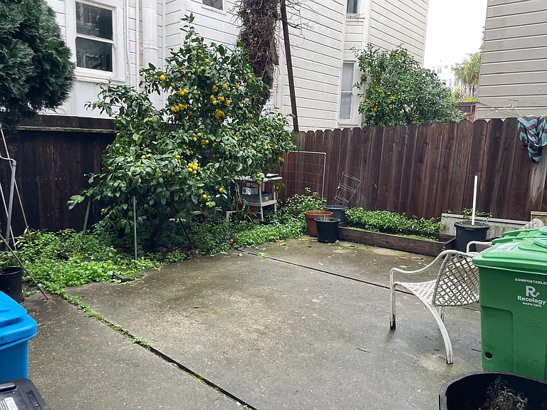 1494 Jackson St — Photo 16