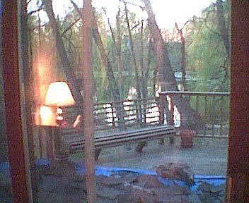 View from living room