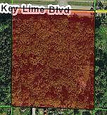 1st image of Xxxx Key Lime Boulevard