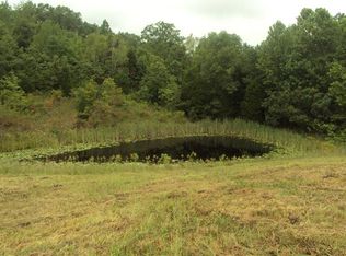 0 Buchanan Rd S, Waverly, TN 37185