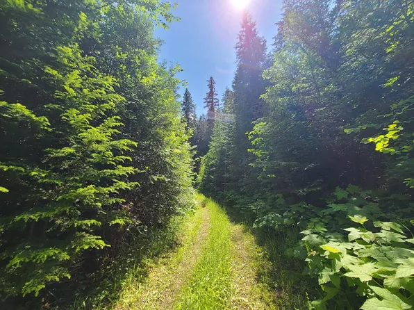 Trombetta Rd, Colville, WA 99114