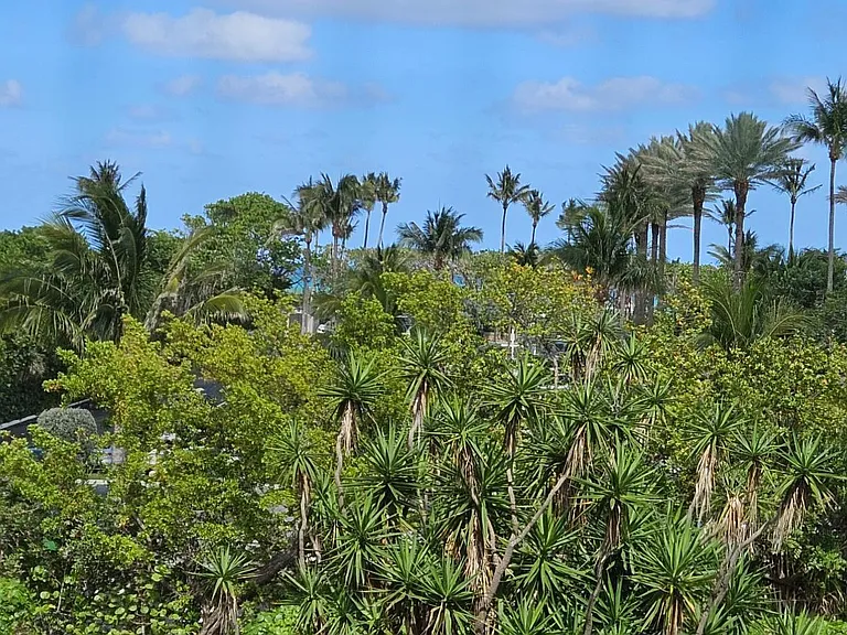 500 Ocean Trail Way #307 — Photo 18