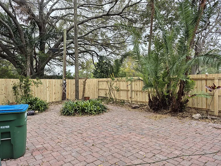 New fence and trimmed foliage