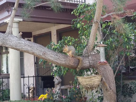Friendly neighbor