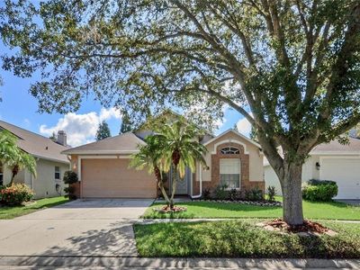 6906 Jamestown Manor Dr, Riverview, FL, 33578